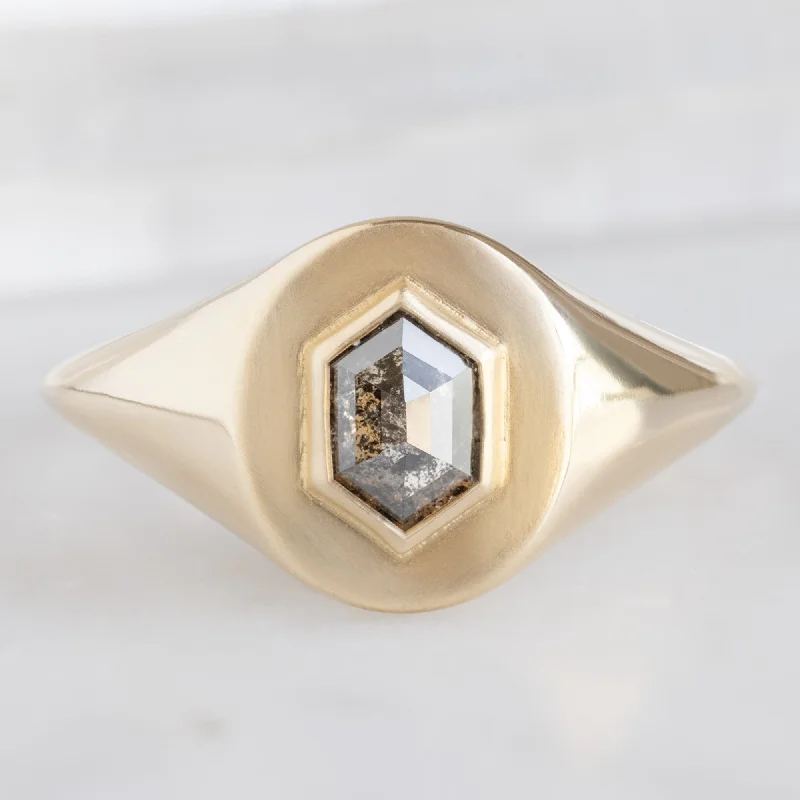 The Signet Ring | 0.38ct Hexagon Salt and Pepper Diamond in 10K Yellow Gold