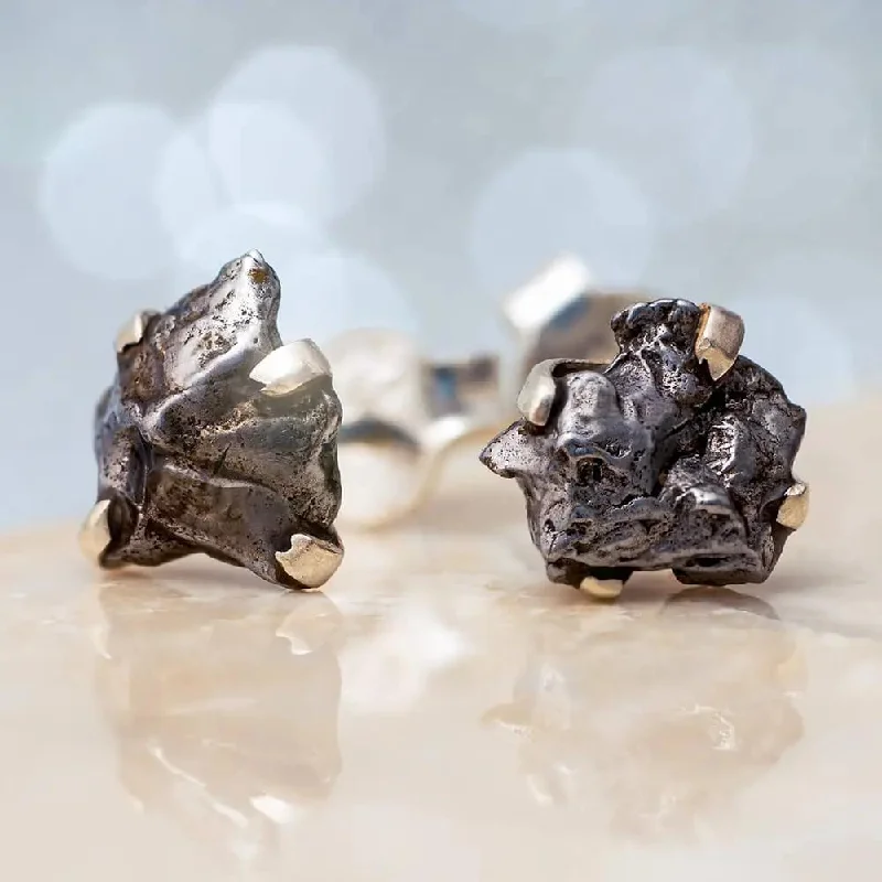 Authentic Meteorite Nugget Stud Earrings