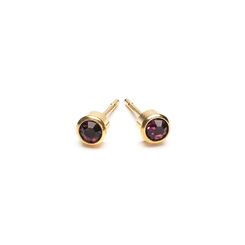 February Birthstone 14k Gold Plated Earrings