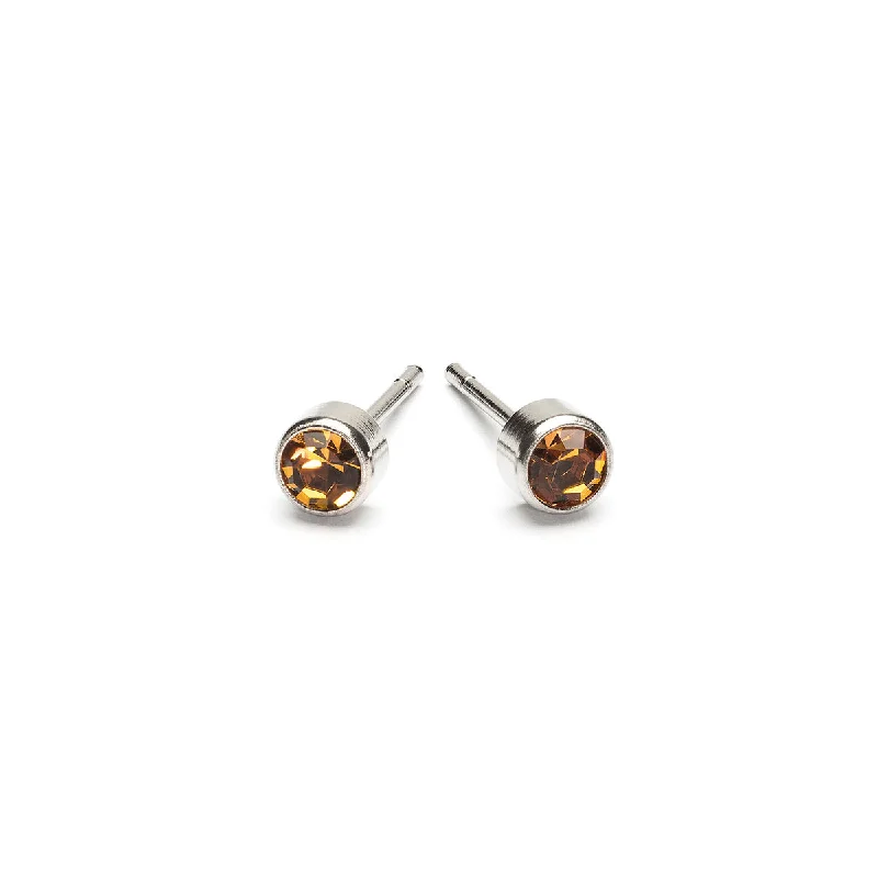 November Birthstone Stainless Steel Earrings