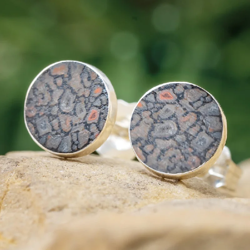 Dinosaur Fossil Tiny Stud Earrings